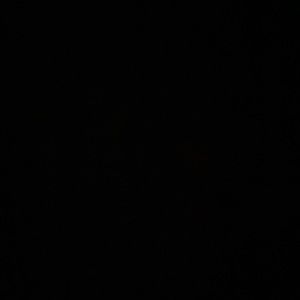 Meet your Posher, Monique